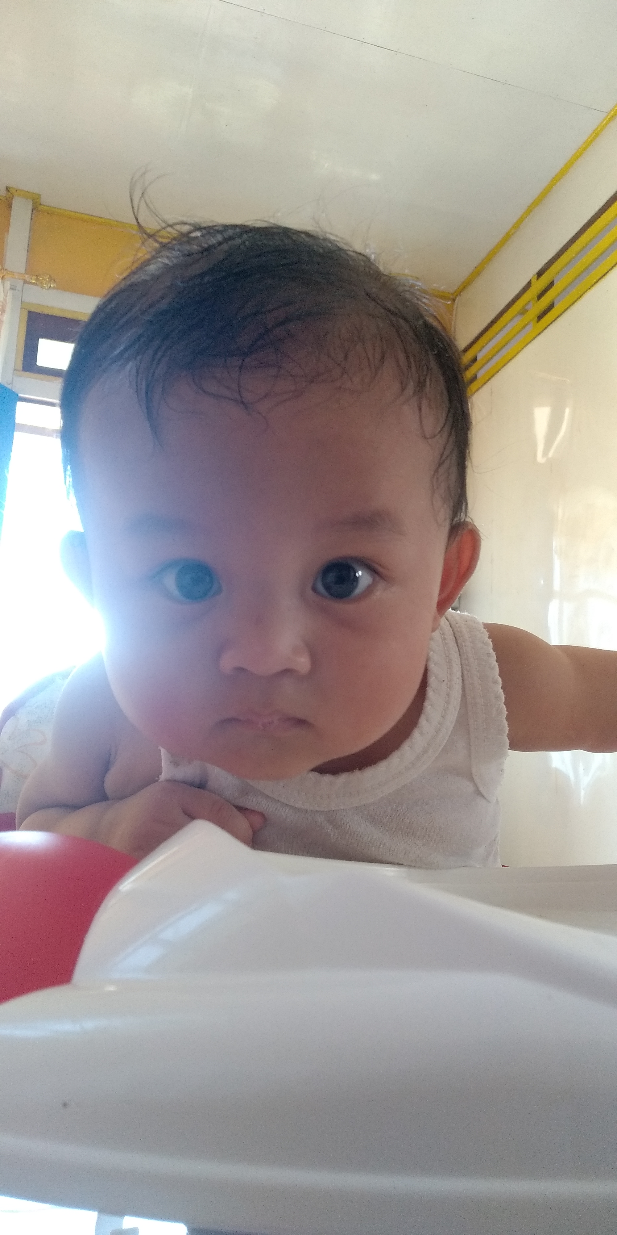 Baby Evan – Hello WordPress